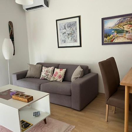 Lovely Pink Flat Apartamento Podgorica Exterior foto