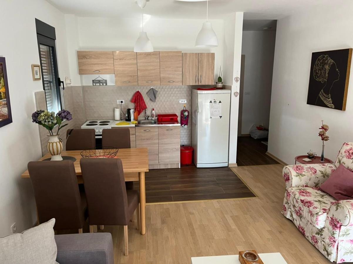 Lovely Pink Flat Apartamento Podgorica Exterior foto